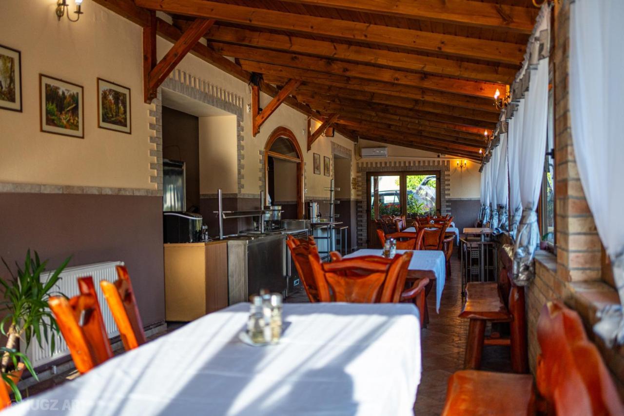 Guest house Pensiunea Viktoria