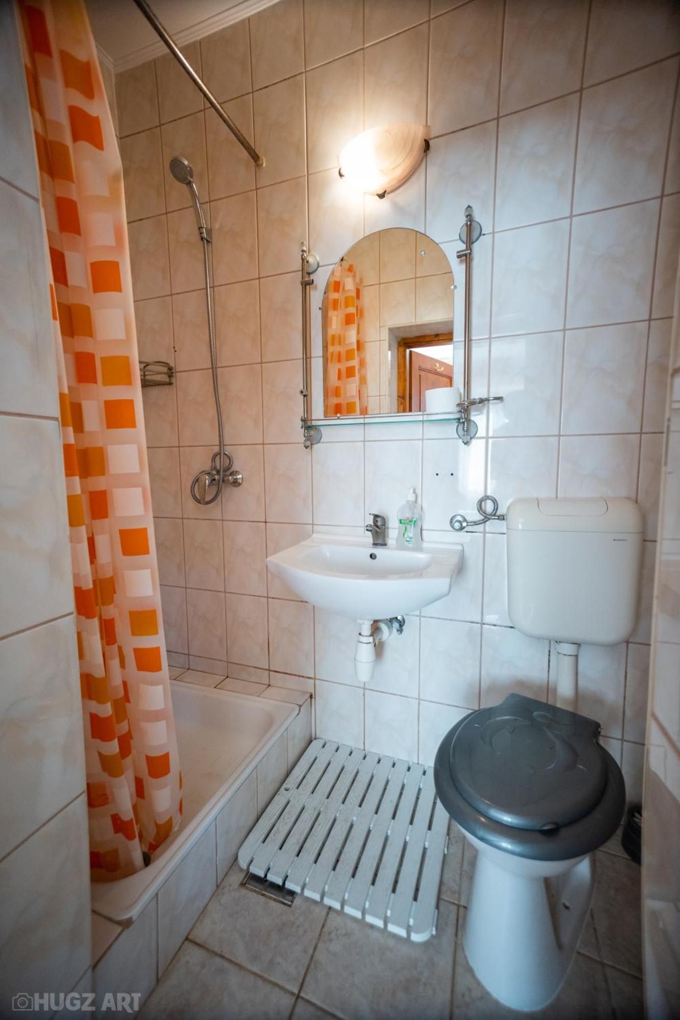 Pensiunea Viktoria Guest house