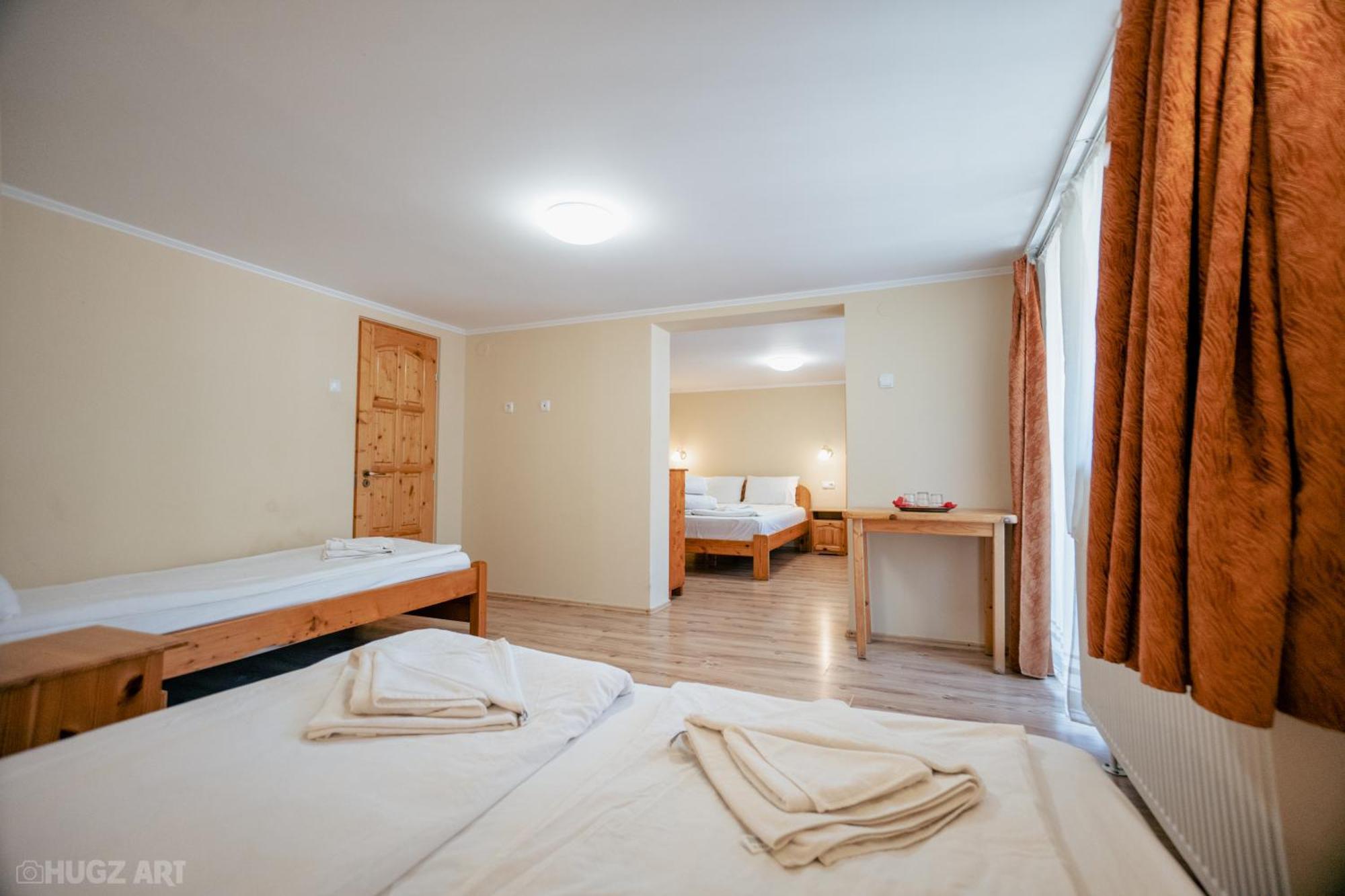 Guest house Pensiunea Viktoria