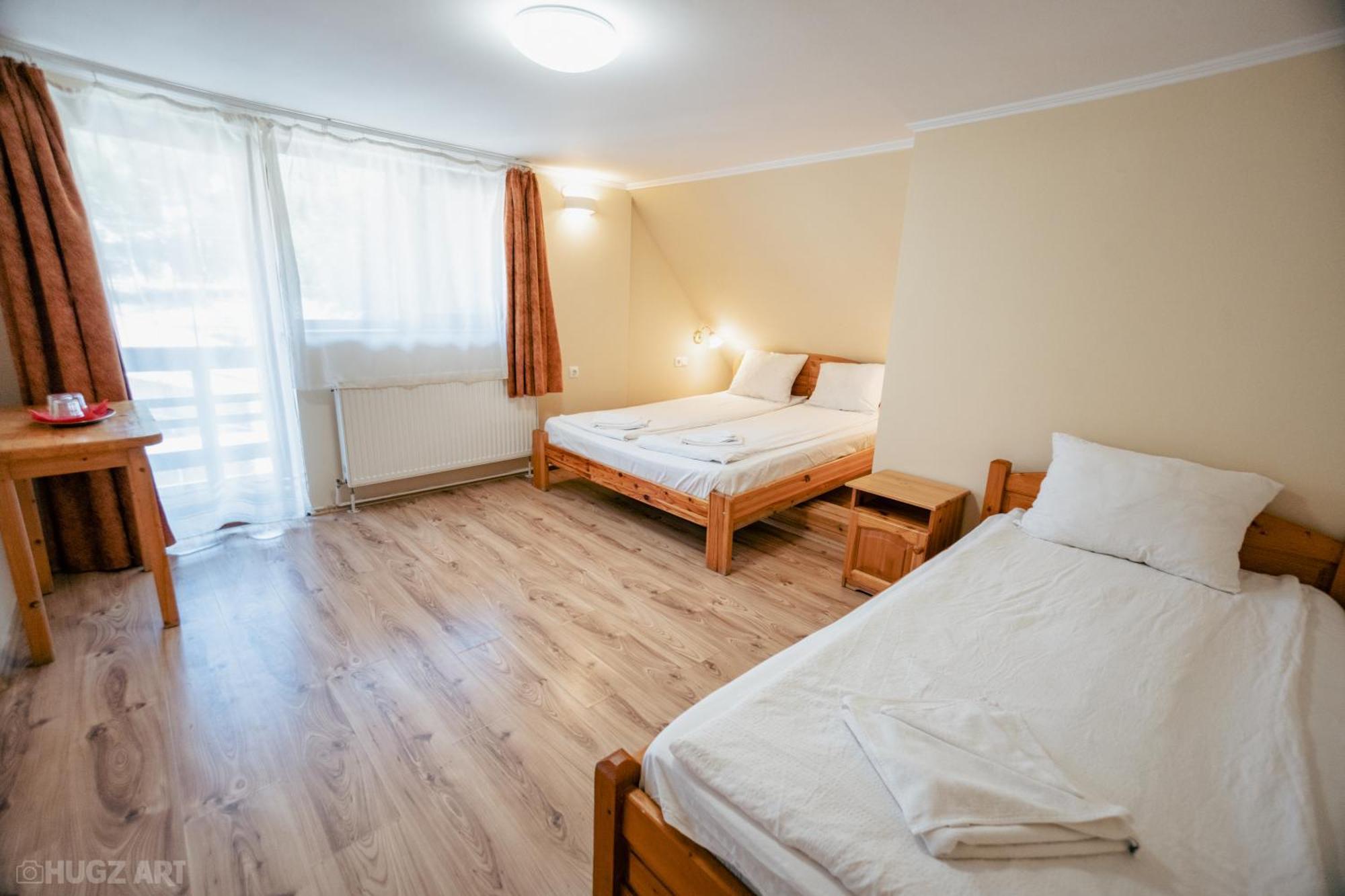 Guest house Pensiunea Viktoria