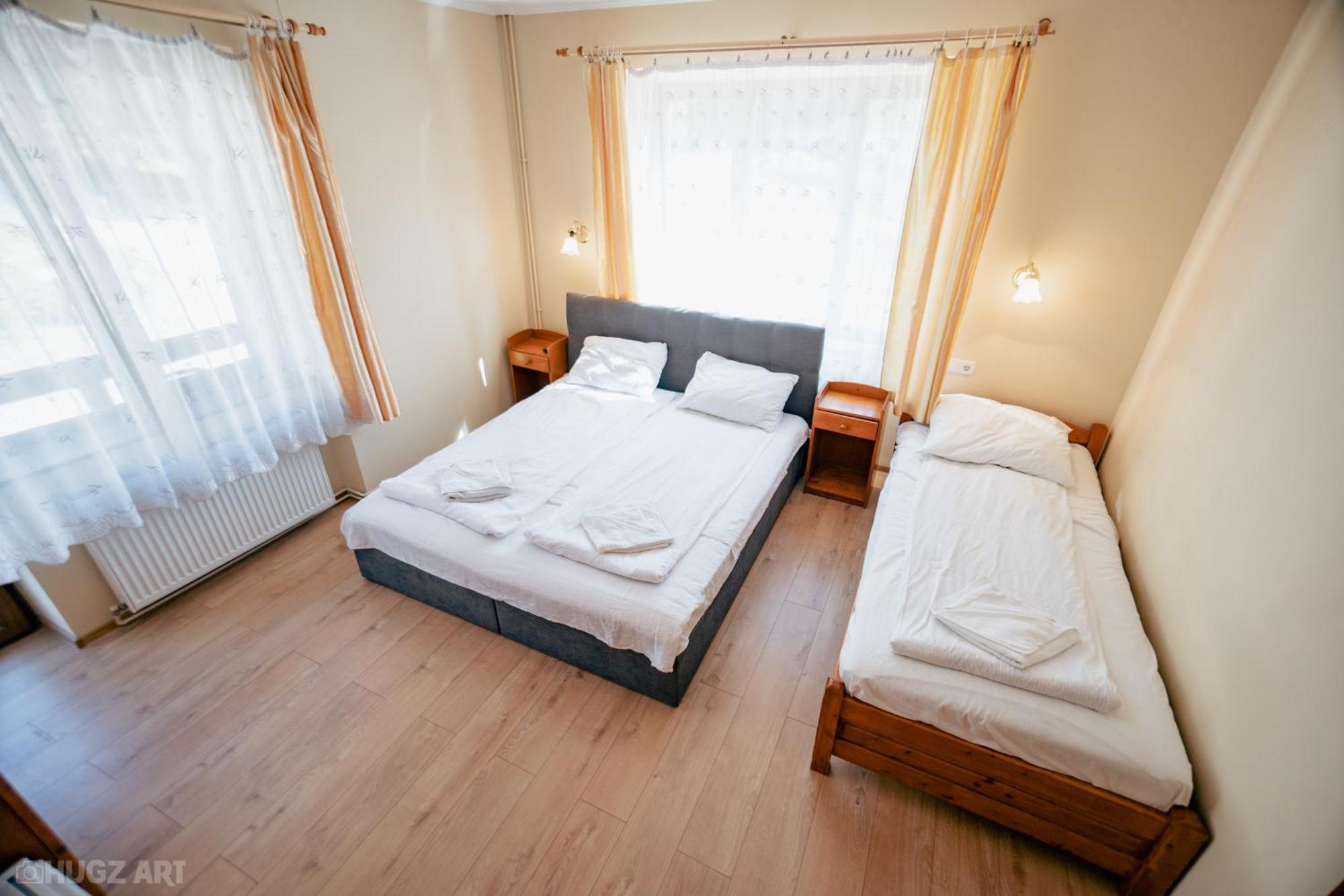 Guest house Pensiunea Viktoria